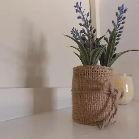 Warm Terrace Apartment