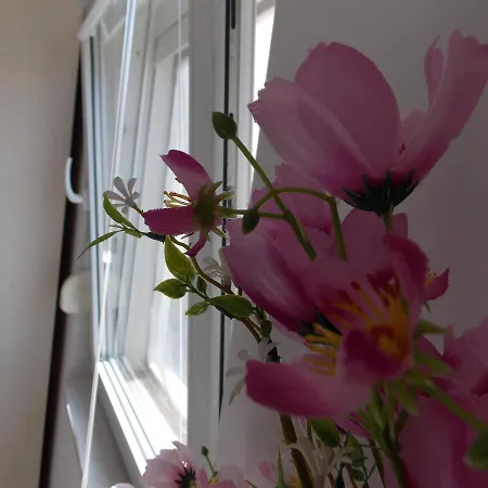 Warm Terrace Apartment