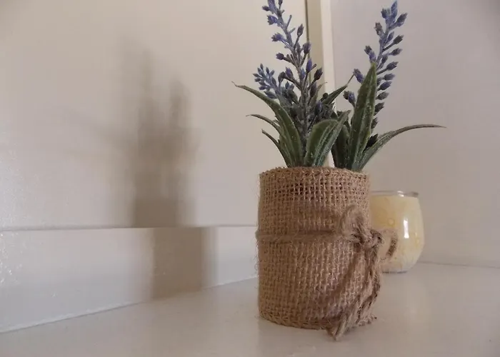 Warm Terrace Apartament