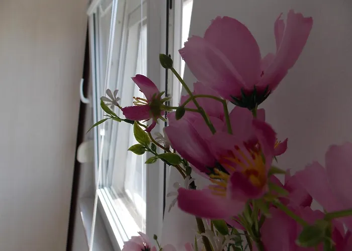 Warm Terrace Apartament